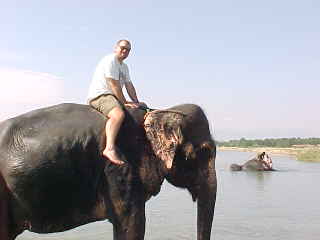 My turn to give the elephant a bath