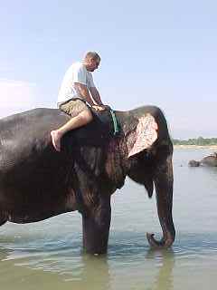 My turn to give the elephant a bath