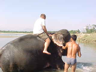 My turn to give the elephant a bath