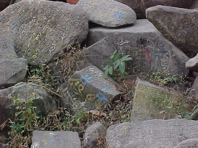 Tibetan inscriptions on stones (Nepal, The Travel Addicts)