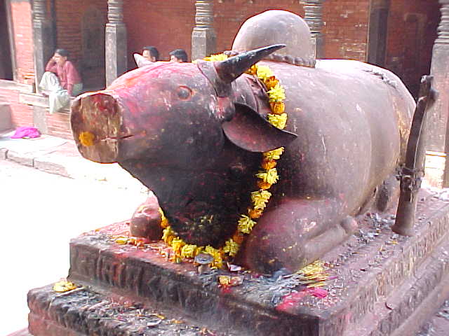 Shiva's Vehicle : A smiling Brahma Bull \  (Nepal, The Travel Addicts)