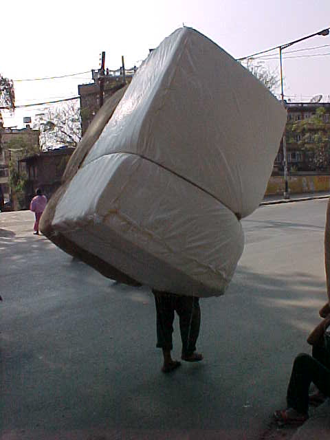 Heavy load (Nepal, The Travel Addicts)