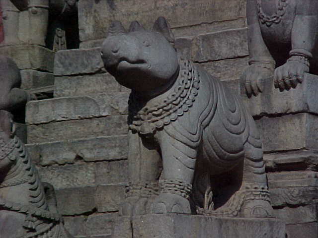 Rhino in Durbar Square (Nepal, The Travel Addicts)